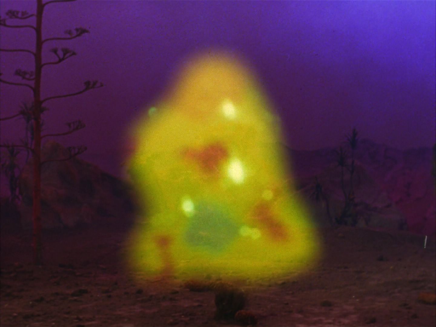 ariane179254_StarTrek_2x09_Metamorphosis_2167.jpg