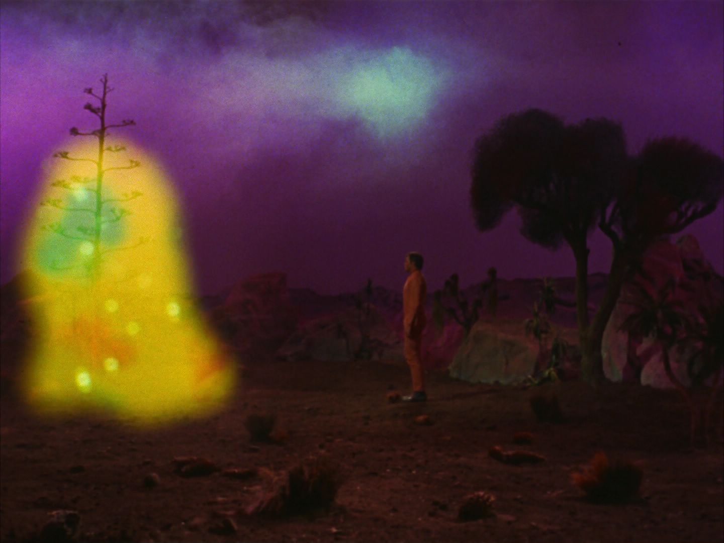ariane179254_StarTrek_2x09_Metamorphosis_2178.jpg