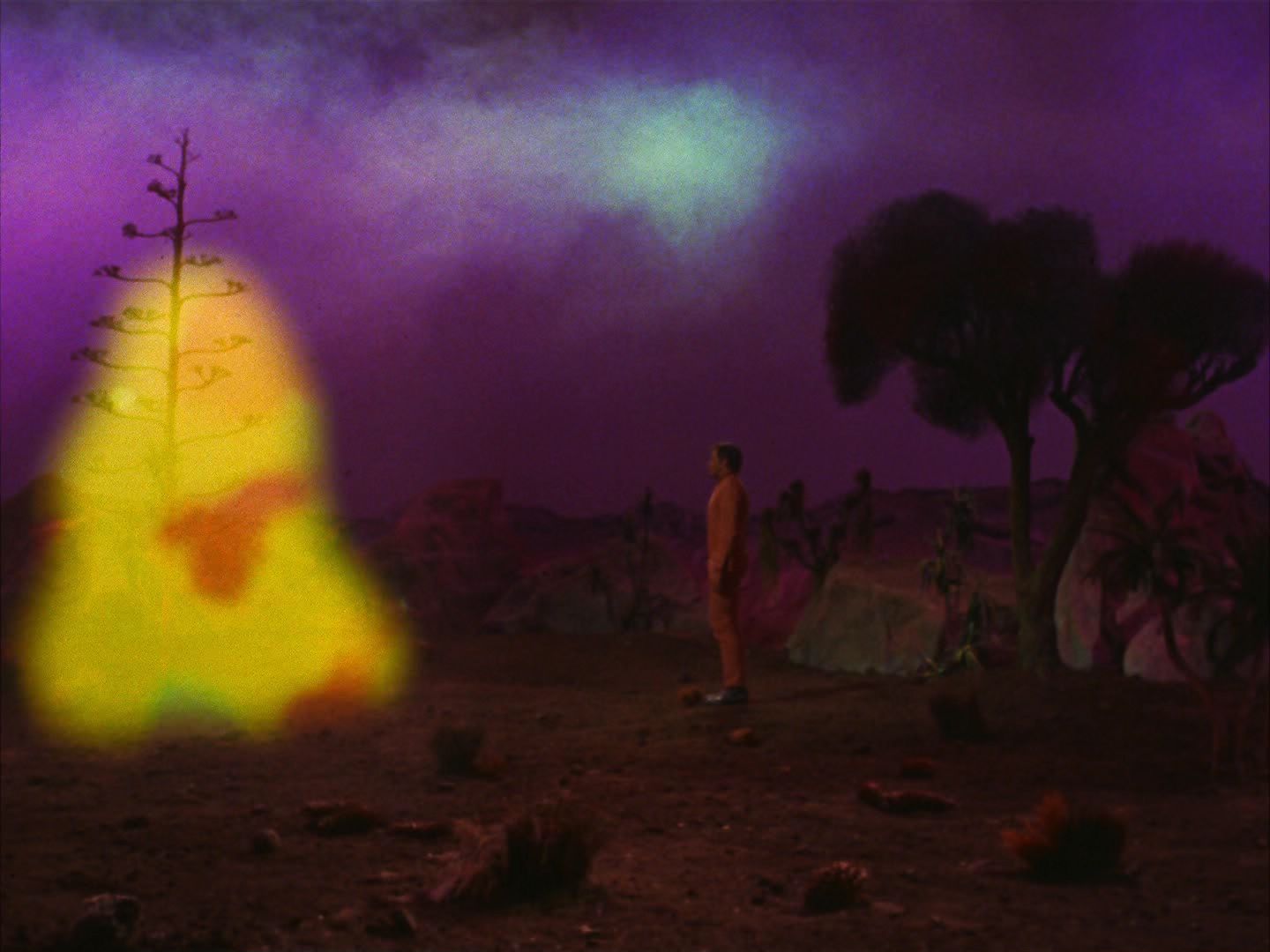 ariane179254_StarTrek_2x09_Metamorphosis_2182.jpg