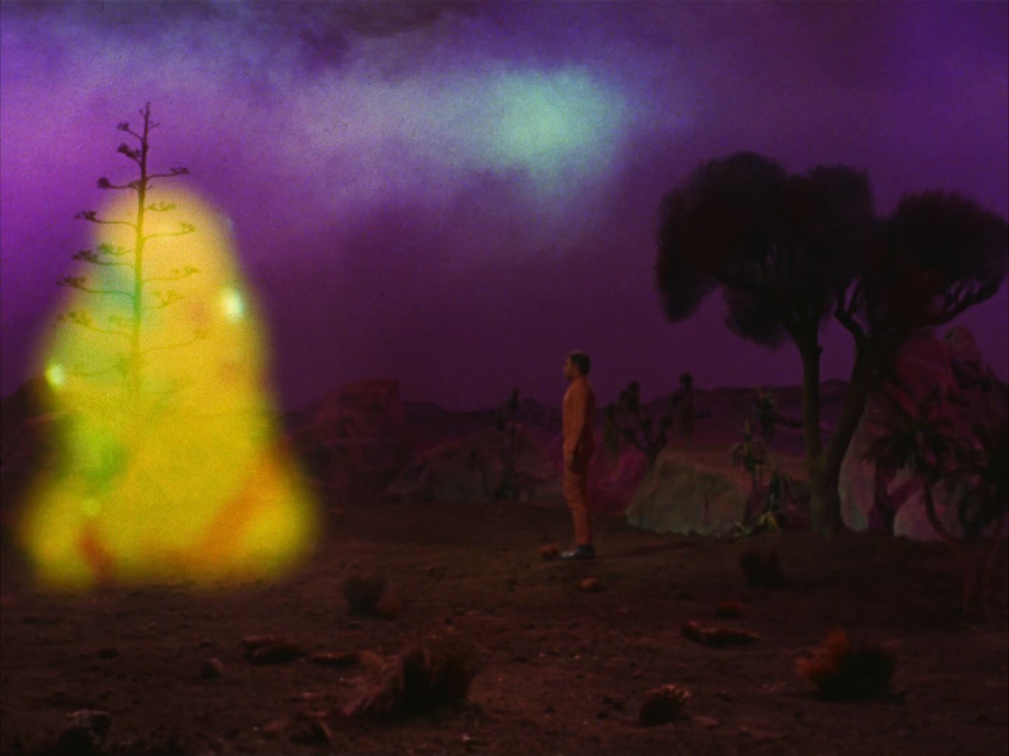 ariane179254_StarTrek_2x09_Metamorphosis_2186.jpg