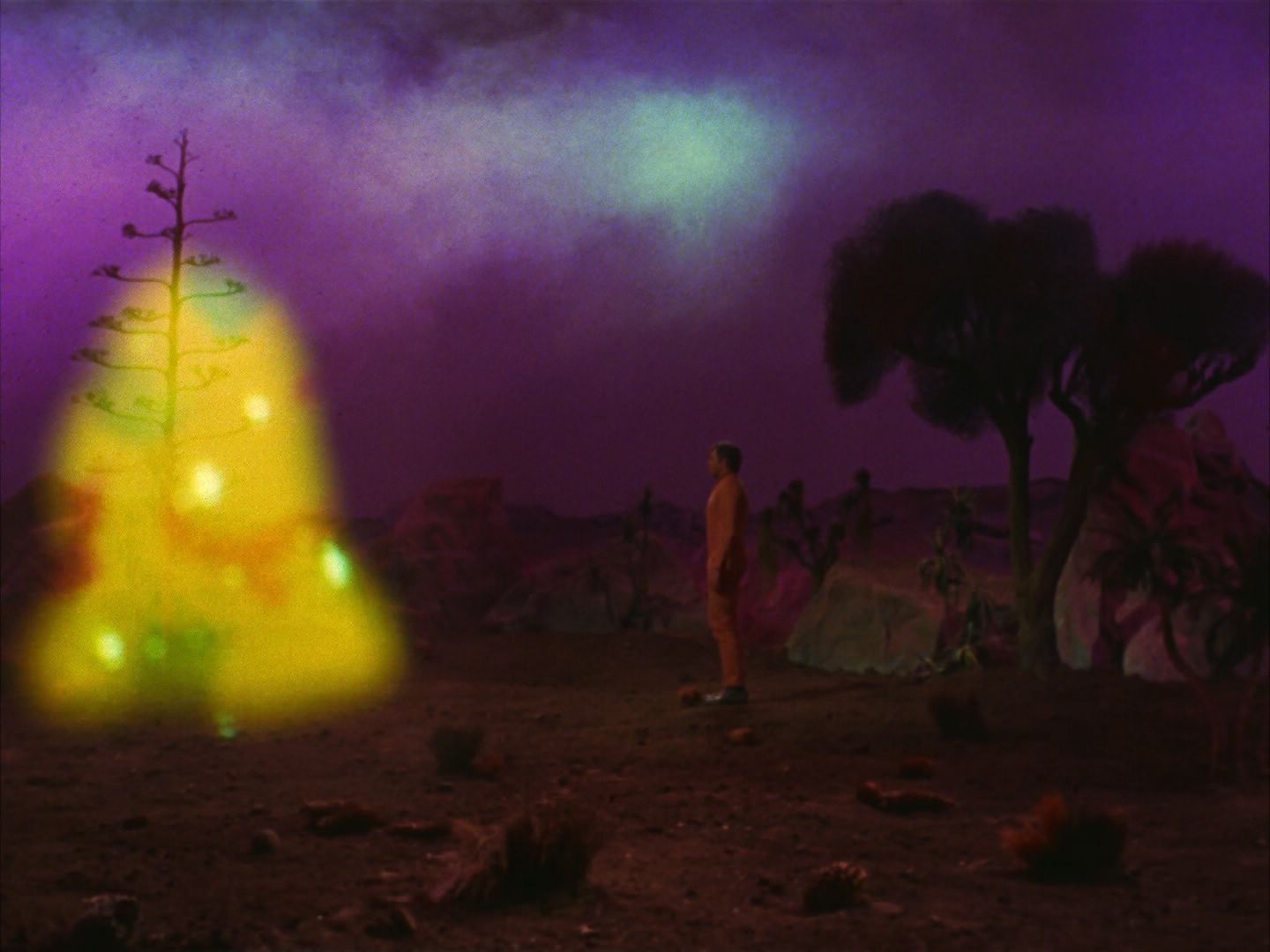 ariane179254_StarTrek_2x09_Metamorphosis_2188.jpg