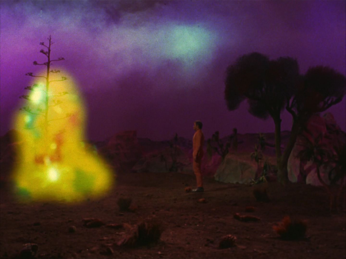 ariane179254_StarTrek_2x09_Metamorphosis_2189.jpg