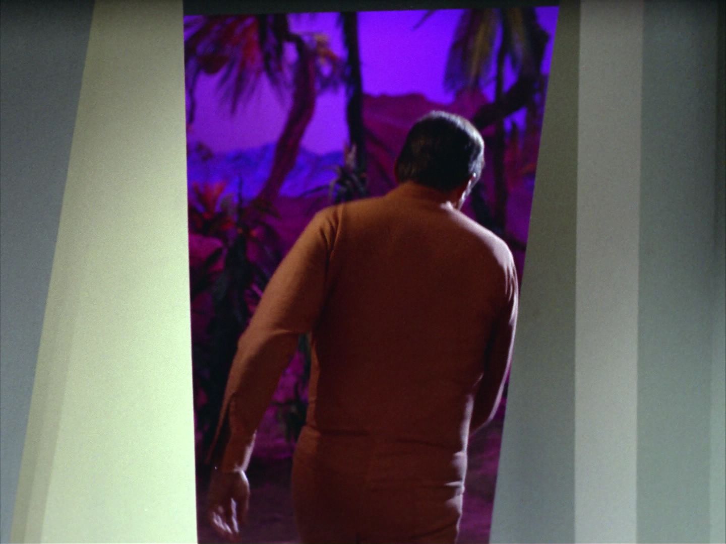 ariane179254_StarTrek_2x09_Metamorphosis_2439.jpg
