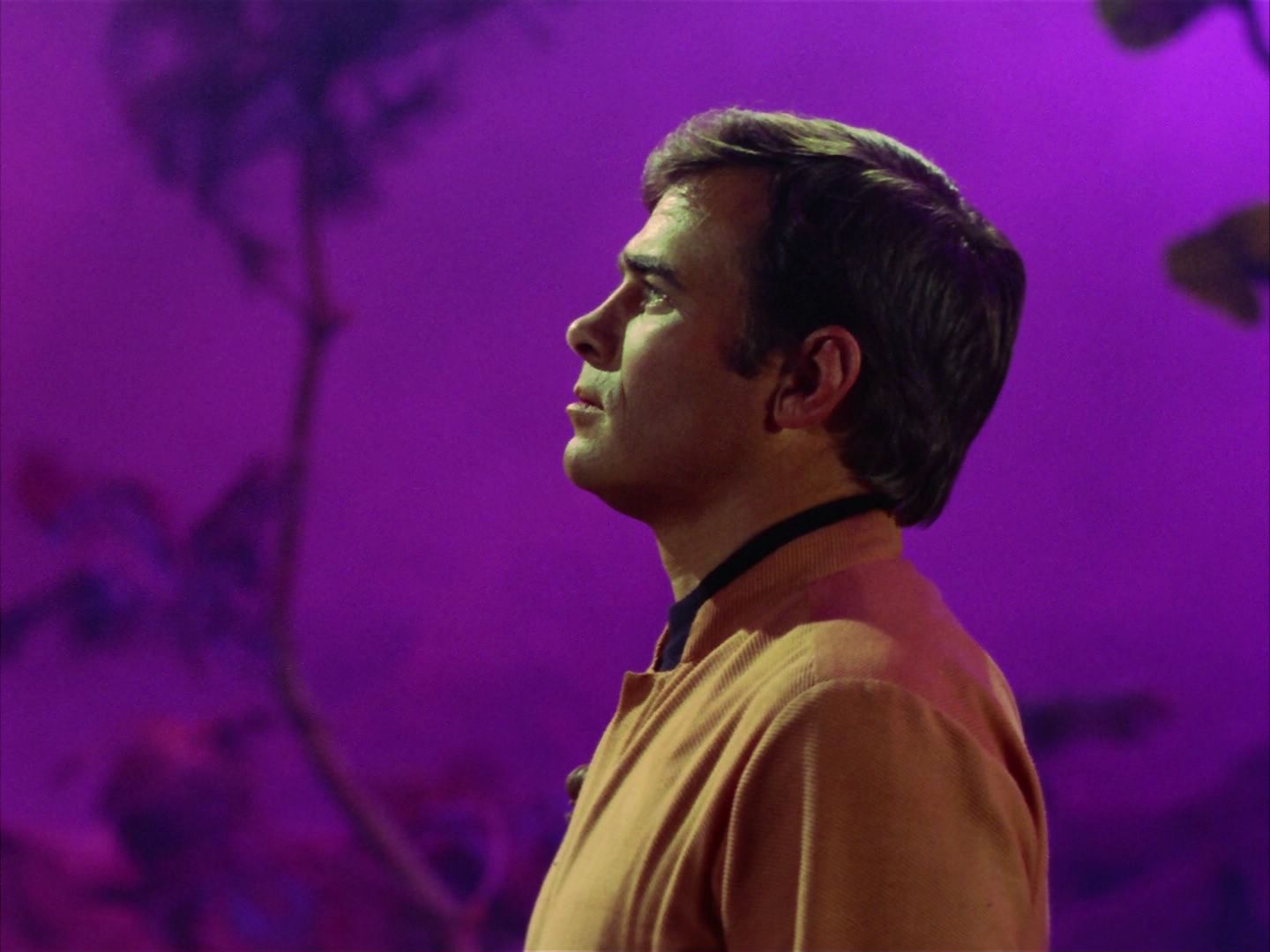 ariane179254_StarTrek_2x09_Metamorphosis_2602.jpg