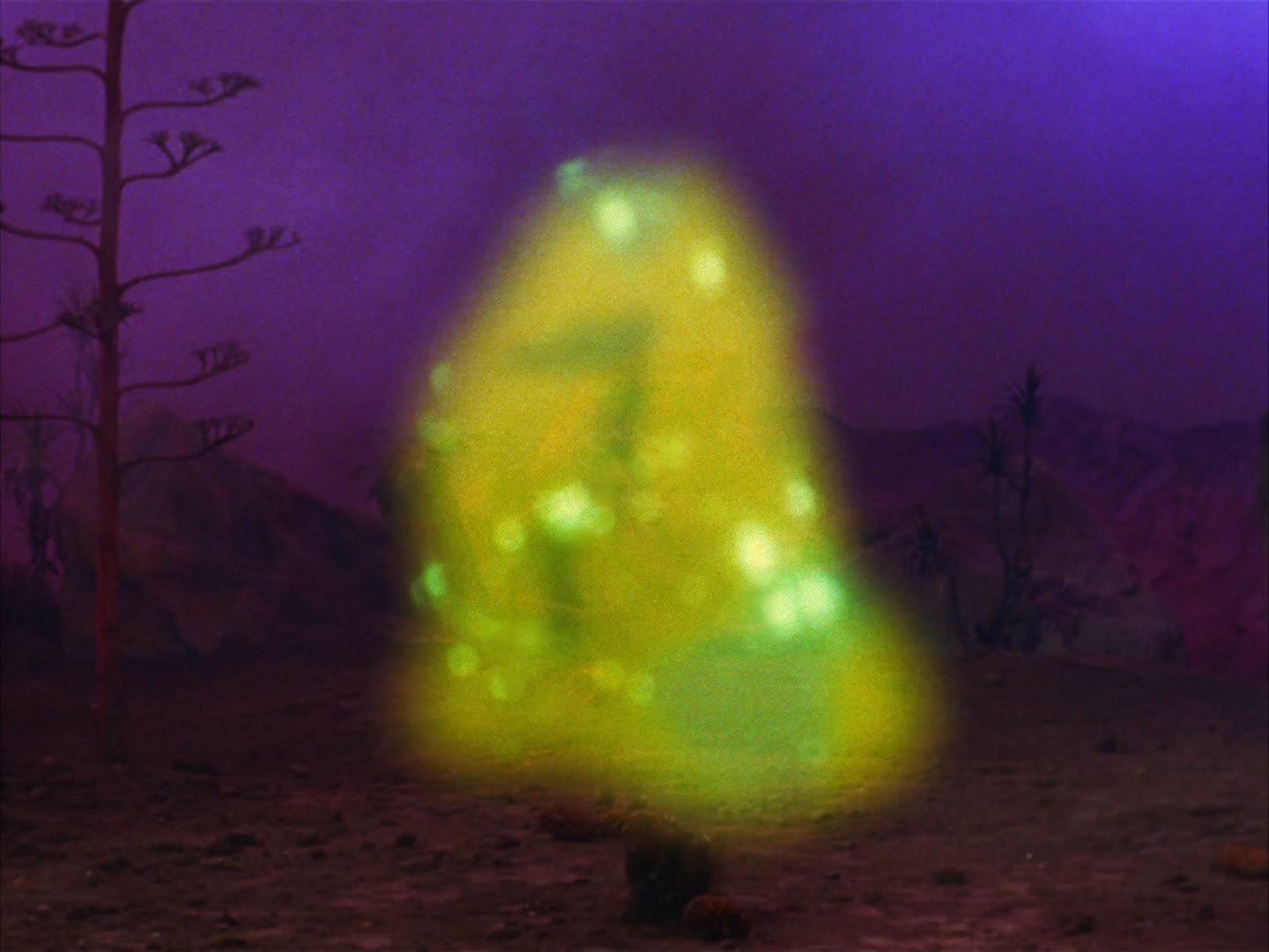 ariane179254_StarTrek_2x09_Metamorphosis_2768.jpg