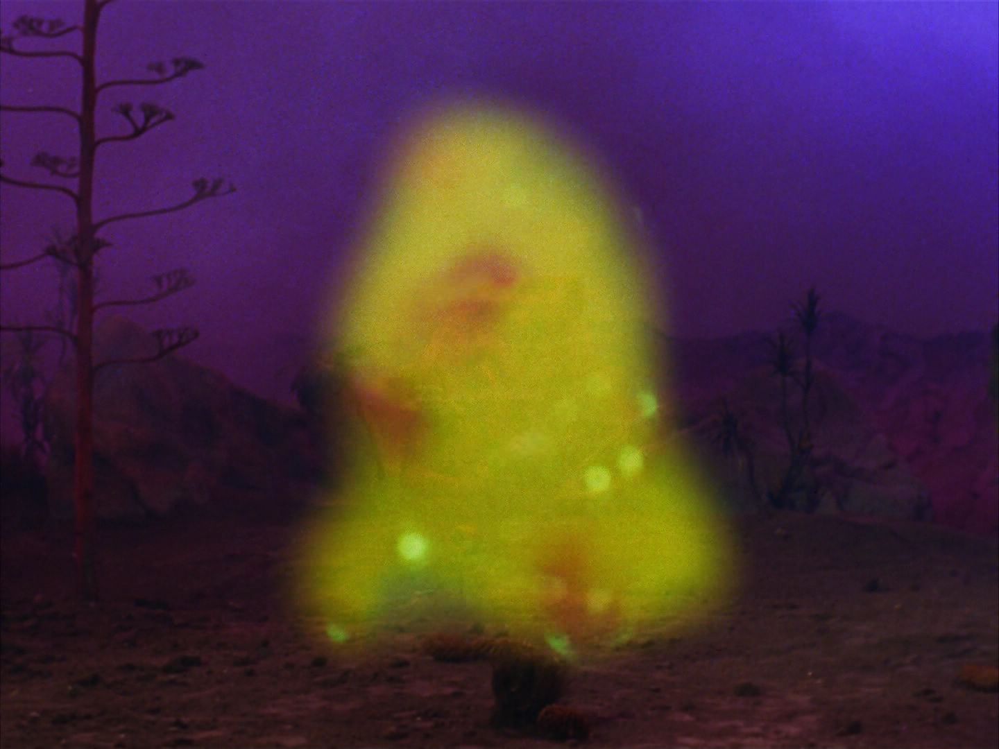 ariane179254_StarTrek_2x09_Metamorphosis_2771.jpg