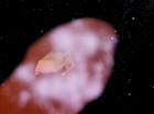 Filename=ariane179254_StarTrek_2x09_Metamorphosis_0174.jpg
Filesize=68KiB
Dimensions=1440x1080
Date added=Jun 24, 2015 ariane179254_StarTrek_2x09_Metamorphosis_0174.jpg