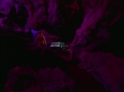 Filename=ariane179254_StarTrek_2x09_Metamorphosis_0459.jpg
Filesize=56KiB
Dimensions=1440x1080
Date added=Jun 24, 2015 ariane179254_StarTrek_2x09_Metamorphosis_0459.jpg