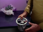ariane179254_StarTrek_2x09_Metamorphosis_0739.jpg