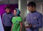 Filename=ariane179254_StarTrek_2x09_Metamorphosis_0755.jpg
Filesize=123KiB
Dimensions=1440x1080
Date added=Jun 24, 2015 ariane179254_StarTrek_2x09_Metamorphosis_0755.jpg