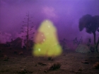 ariane179254_StarTrek_2x09_Metamorphosis_0806.jpg