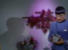 Filename=ariane179254_StarTrek_2x09_Metamorphosis_1057.jpg
Filesize=101KiB
Dimensions=1440x1080
Date added=Jun 24, 2015 ariane179254_StarTrek_2x09_Metamorphosis_1057.jpg