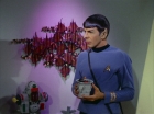 Filename=ariane179254_StarTrek_2x09_Metamorphosis_1059.jpg
Filesize=124KiB
Dimensions=1440x1080
Date added=Jun 24, 2015 ariane179254_StarTrek_2x09_Metamorphosis_1059.jpg