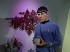 Filename=ariane179254_StarTrek_2x09_Metamorphosis_1062.jpg
Filesize=135KiB
Dimensions=1440x1080
Date added=Jun 24, 2015 ariane179254_StarTrek_2x09_Metamorphosis_1062.jpg