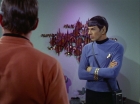 Filename=ariane179254_StarTrek_2x09_Metamorphosis_1124.jpg
Filesize=123KiB
Dimensions=1440x1080
Date added=Jun 24, 2015 ariane179254_StarTrek_2x09_Metamorphosis_1124.jpg