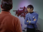 Filename=ariane179254_StarTrek_2x09_Metamorphosis_1125.jpg
Filesize=114KiB
Dimensions=1440x1080
Date added=Jun 24, 2015 ariane179254_StarTrek_2x09_Metamorphosis_1125.jpg