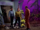 Filename=ariane179254_StarTrek_2x09_Metamorphosis_1325.jpg
Filesize=138KiB
Dimensions=1440x1080
Date added=Jun 24, 2015 ariane179254_StarTrek_2x09_Metamorphosis_1325.jpg