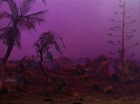 ariane179254_StarTrek_2x09_Metamorphosis_1659.jpg