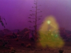 ariane179254_StarTrek_2x09_Metamorphosis_1666.jpg
