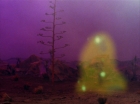 ariane179254_StarTrek_2x09_Metamorphosis_1667.jpg