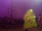 ariane179254_StarTrek_2x09_Metamorphosis_1668.jpg