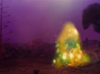 ariane179254_StarTrek_2x09_Metamorphosis_1676.jpg