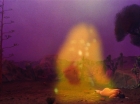 ariane179254_StarTrek_2x09_Metamorphosis_1681.jpg