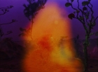 ariane179254_StarTrek_2x09_Metamorphosis_1688.jpg