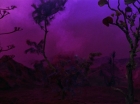 ariane179254_StarTrek_2x09_Metamorphosis_2075.jpg