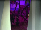 ariane179254_StarTrek_2x09_Metamorphosis_2440.jpg