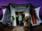 Filename=ariane179254_StarTrek_2x09_Metamorphosis_2828.jpg
Filesize=164KiB
Dimensions=1440x1080
Date added=Jun 24, 2015 ariane179254_StarTrek_2x09_Metamorphosis_2828.jpg