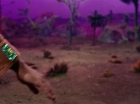 Filename=ariane179254_StarTrek_2x09_Metamorphosis_3073.jpg
Filesize=100KiB
Dimensions=1440x1080
Date added=Jun 24, 2015 ariane179254_StarTrek_2x09_Metamorphosis_3073.jpg