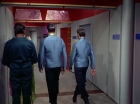 Filename=ariane179254_StarTrek_2x10_TheJourneyToBabel_0052.jpg
Filesize=114KiB
Dimensions=1440x1080
Date added=Jun 27, 2015 ariane179254_StarTrek_2x10_TheJourneyToBabel_0052.jpg