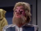 ariane179254_StarTrek_2x10_TheJourneyToBabel_0702.jpg