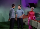 Filename=ariane179254_StarTrek_2x10_TheJourneyToBabel_2058.jpg
Filesize=88KiB
Dimensions=1440x1080
Date added=Jun 27, 2015 ariane179254_StarTrek_2x10_TheJourneyToBabel_2058.jpg