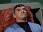 Filename=ariane179254_StarTrek_2x10_TheJourneyToBabel_2480.jpg
Filesize=147KiB
Dimensions=1440x1080
Date added=Jun 27, 2015 ariane179254_StarTrek_2x10_TheJourneyToBabel_2480.jpg