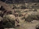 Filename=extant_StarTrek_2x11-FridaysChild_1872.jpg
Filesize=197KiB
Dimensions=1440x1072
Date added=Dec 12, 2017 extant_StarTrek_2x11-FridaysChild_1872.jpg