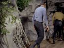 Filename=extant_StarTrek_2x11-FridaysChild_2572.jpg
Filesize=167KiB
Dimensions=1440x1072
Date added=Dec 12, 2017 extant_StarTrek_2x11-FridaysChild_2572.jpg