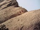 Filename=extant_StarTrek_2x11-FridaysChild_3158.jpg
Filesize=257KiB
Dimensions=1440x1072
Date added=Dec 12, 2017 extant_StarTrek_2x11-FridaysChild_3158.jpg