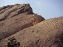 Filename=extant_StarTrek_2x11-FridaysChild_3168.jpg
Filesize=251KiB
Dimensions=1440x1072
Date added=Dec 12, 2017 extant_StarTrek_2x11-FridaysChild_3168.jpg