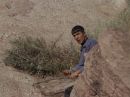 Filename=extant_StarTrek_2x11-FridaysChild_3194.jpg
Filesize=191KiB
Dimensions=1440x1072
Date added=Dec 12, 2017 extant_StarTrek_2x11-FridaysChild_3194.jpg