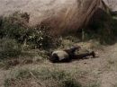 Filename=extant_StarTrek_2x11-FridaysChild_3355.jpg
Filesize=246KiB
Dimensions=1440x1072
Date added=Dec 12, 2017 extant_StarTrek_2x11-FridaysChild_3355.jpg