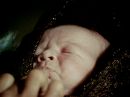 Filename=extant_StarTrek_2x11-FridaysChild_3487.jpg
Filesize=131KiB
Dimensions=1440x1072
Date added=Dec 12, 2017 extant_StarTrek_2x11-FridaysChild_3487.jpg