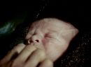 Filename=extant_StarTrek_2x11-FridaysChild_3489.jpg
Filesize=118KiB
Dimensions=1440x1072
Date added=Dec 12, 2017 extant_StarTrek_2x11-FridaysChild_3489.jpg