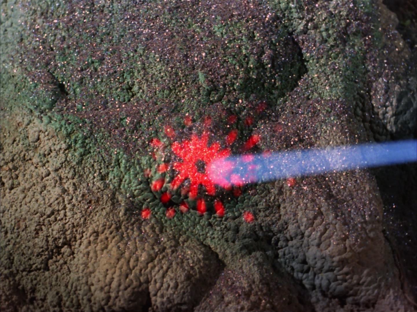 ariane179254_StarTrek_2x13_Obsession_0041.jpg