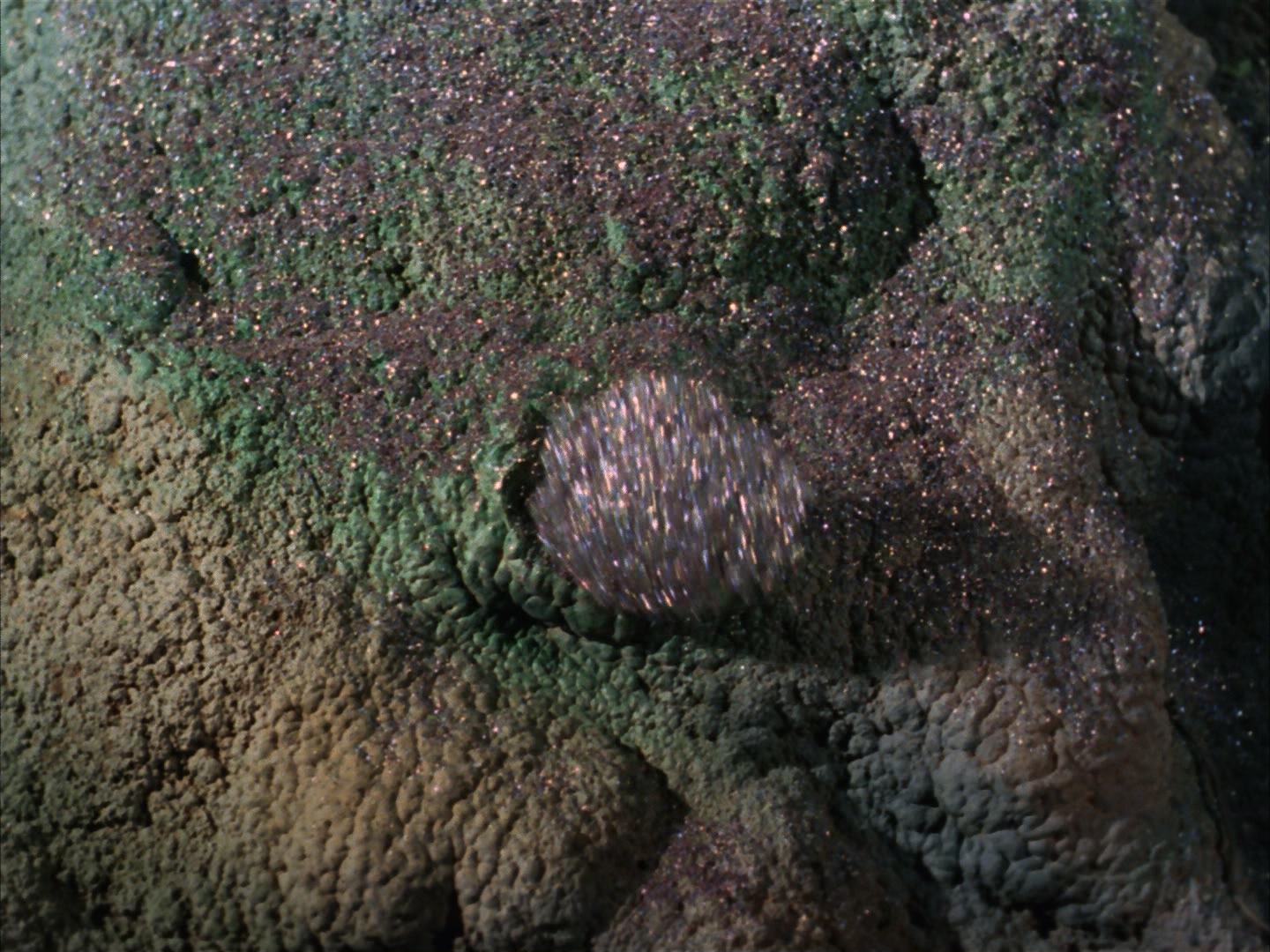 ariane179254_StarTrek_2x13_Obsession_0042.jpg