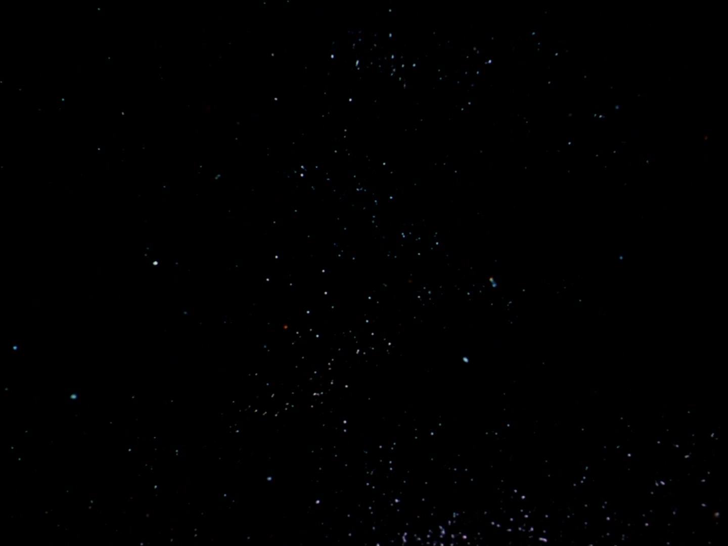 ariane179254_StarTrek_2x13_Obsession_1847.jpg