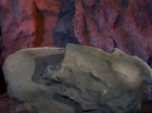 Filename=ariane179254_StarTrek_2x13_Obsession_0049.jpg
Filesize=101KiB
Dimensions=1440x1080
Date added=Jul 02, 2015 ariane179254_StarTrek_2x13_Obsession_0049.jpg