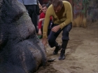 Filename=ariane179254_StarTrek_2x13_Obsession_0055.jpg
Filesize=132KiB
Dimensions=1440x1080
Date added=Jul 02, 2015 ariane179254_StarTrek_2x13_Obsession_0055.jpg