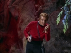 Filename=ariane179254_StarTrek_2x13_Obsession_0215.jpg
Filesize=116KiB
Dimensions=1440x1080
Date added=Jul 02, 2015 ariane179254_StarTrek_2x13_Obsession_0215.jpg